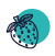 Fruits